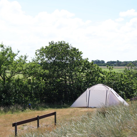 Campingplatz 60 m2 – Basic